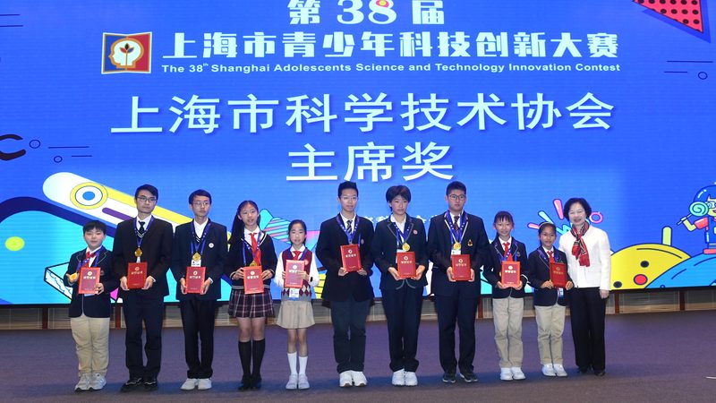数据可视化在Excel中的应用：上海公司如何高效展示数据